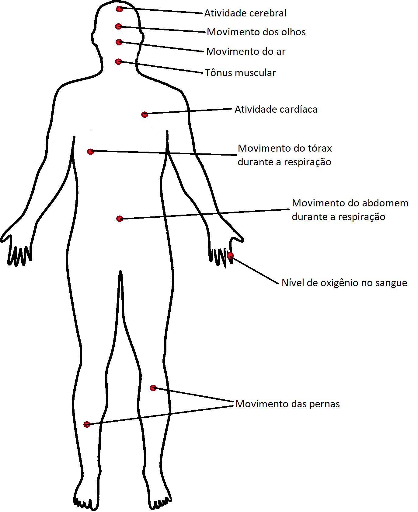 Human body schemes Copia